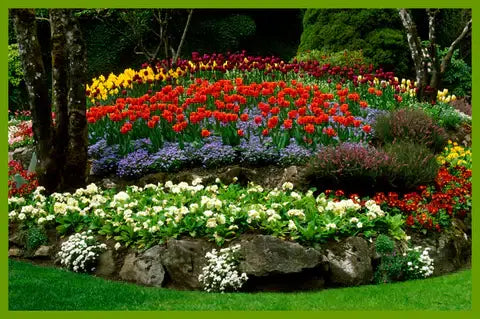 Varieties of Flower Seeds (Pack of 100)